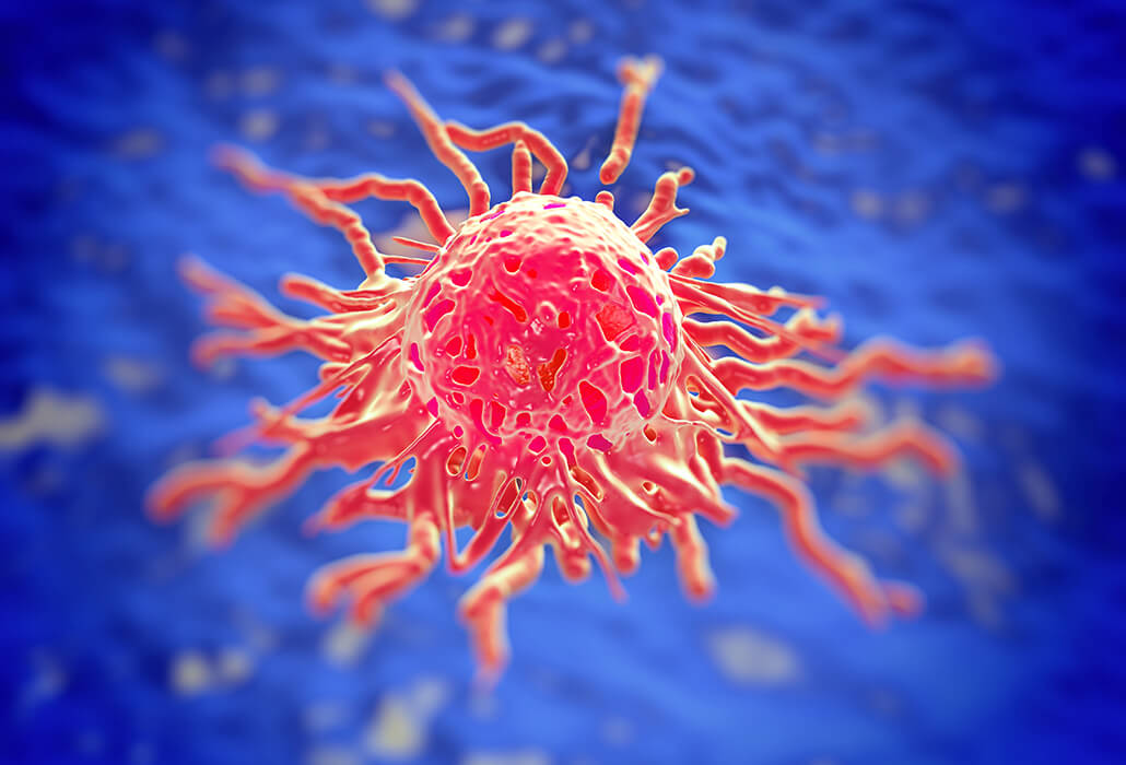 Cervical Cancer Cell