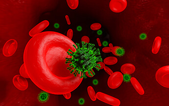 Viral,Infection,Of,Coronavirus,Or,Covid-19,Cell,In,The,Erythrocytes